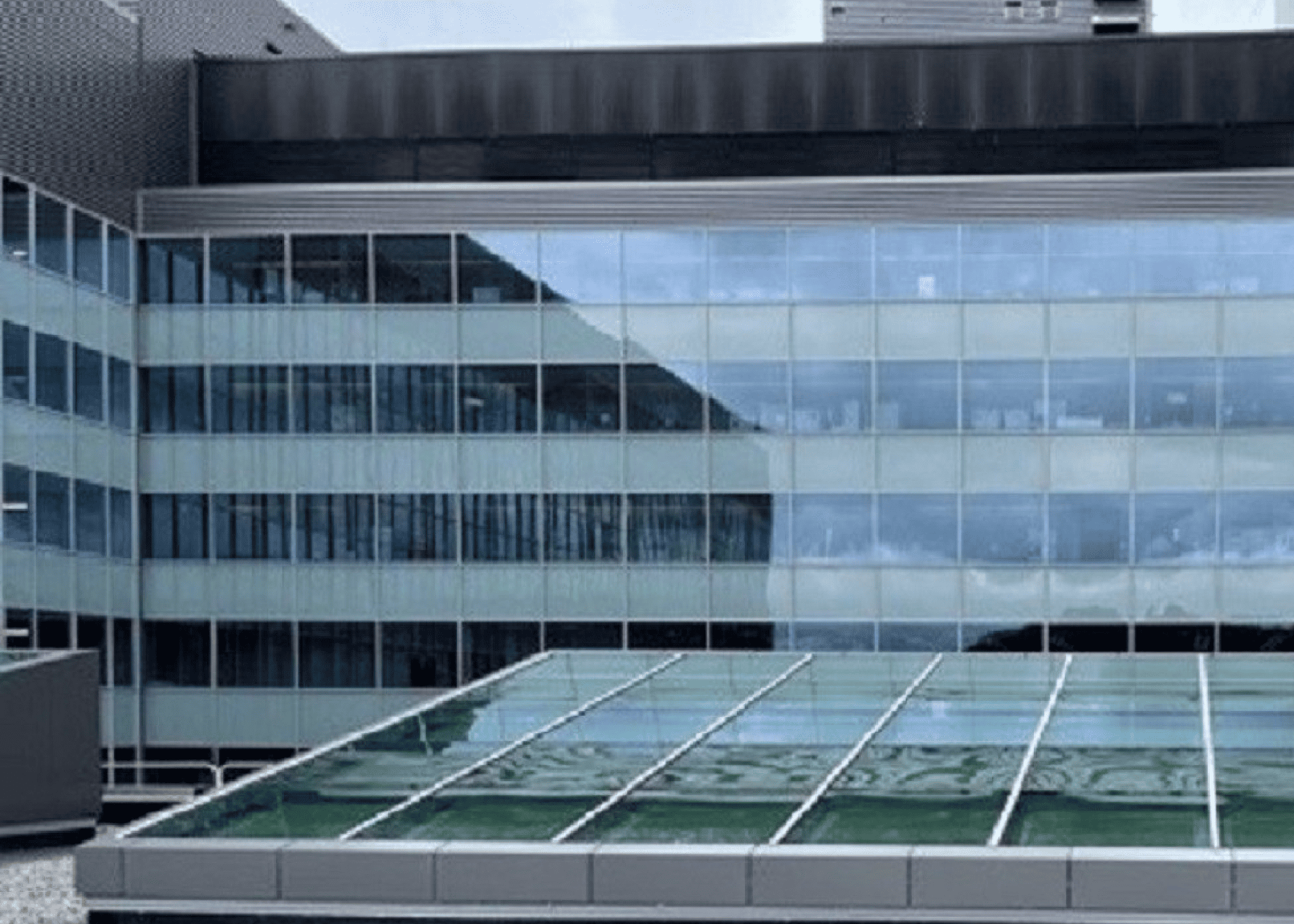 chandler glass architectural products– 38